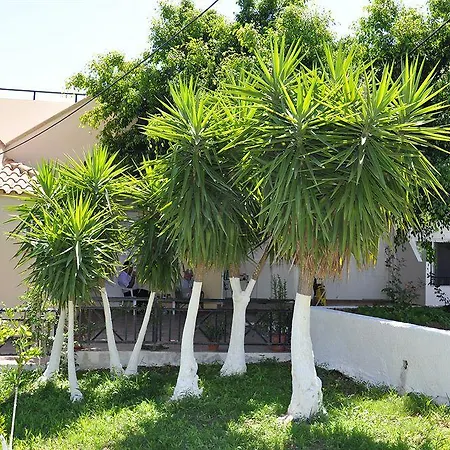 Hotel Vlycha &
